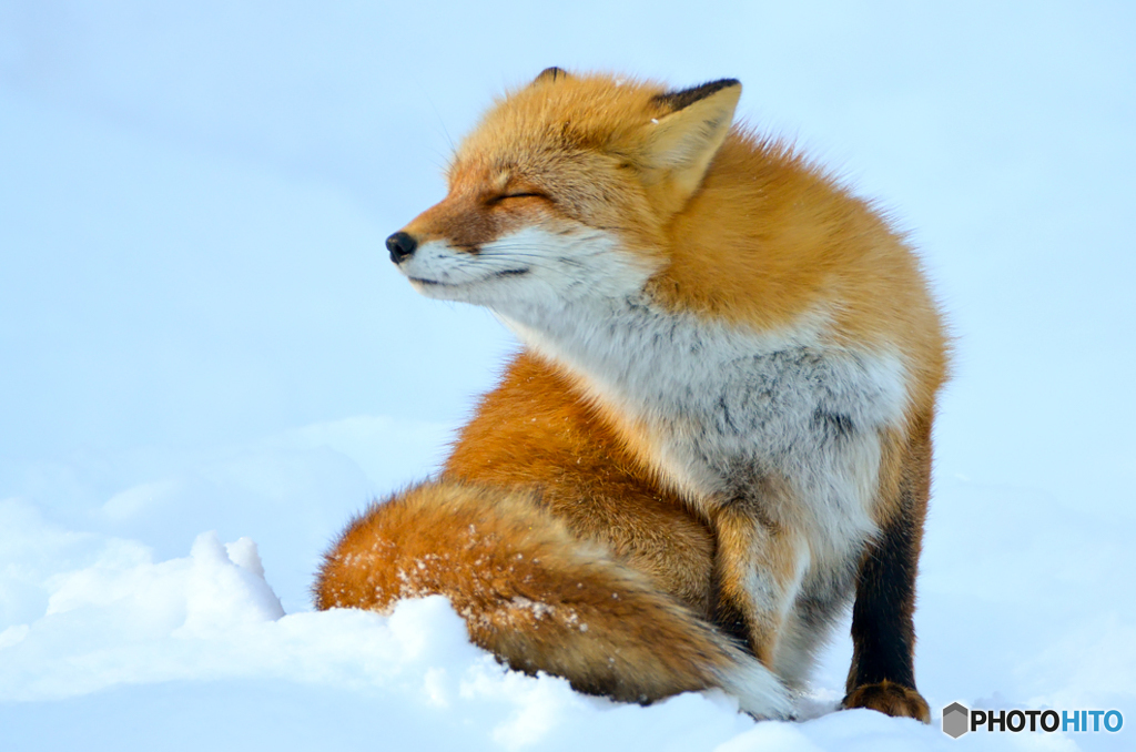 春のにおい