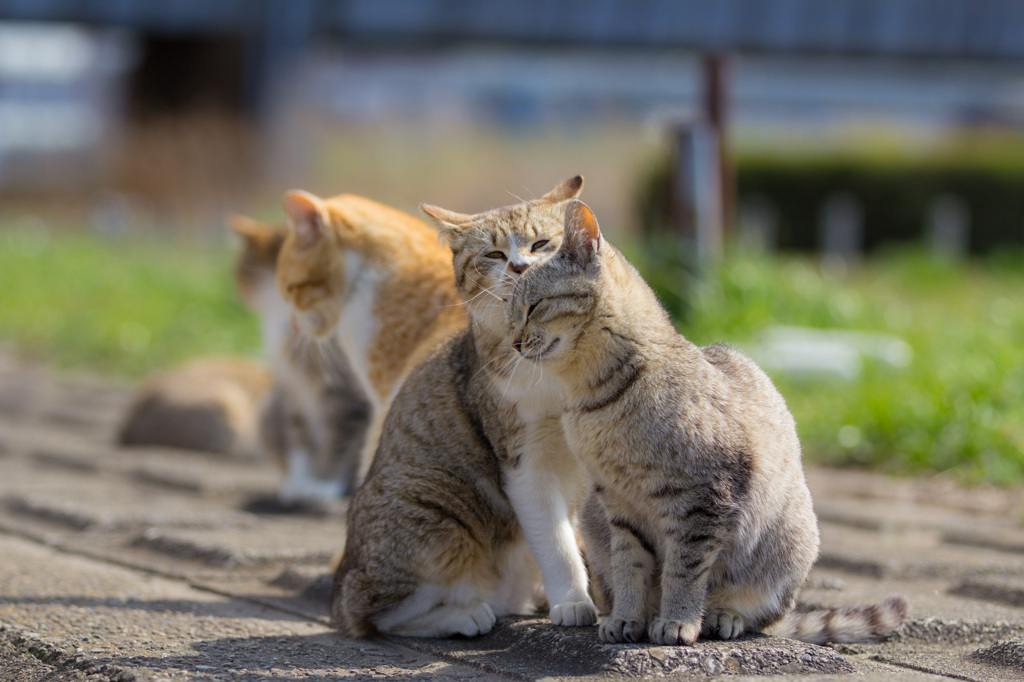 暖かい場所
