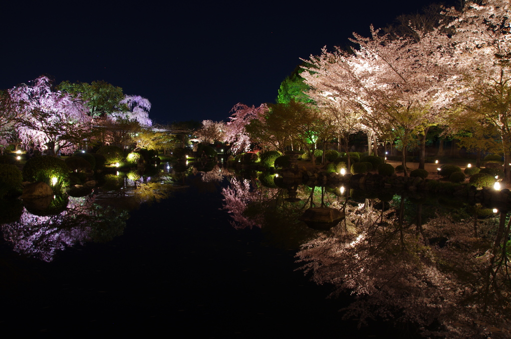 百色の池