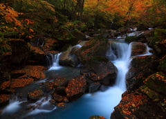Cachoeira do outono