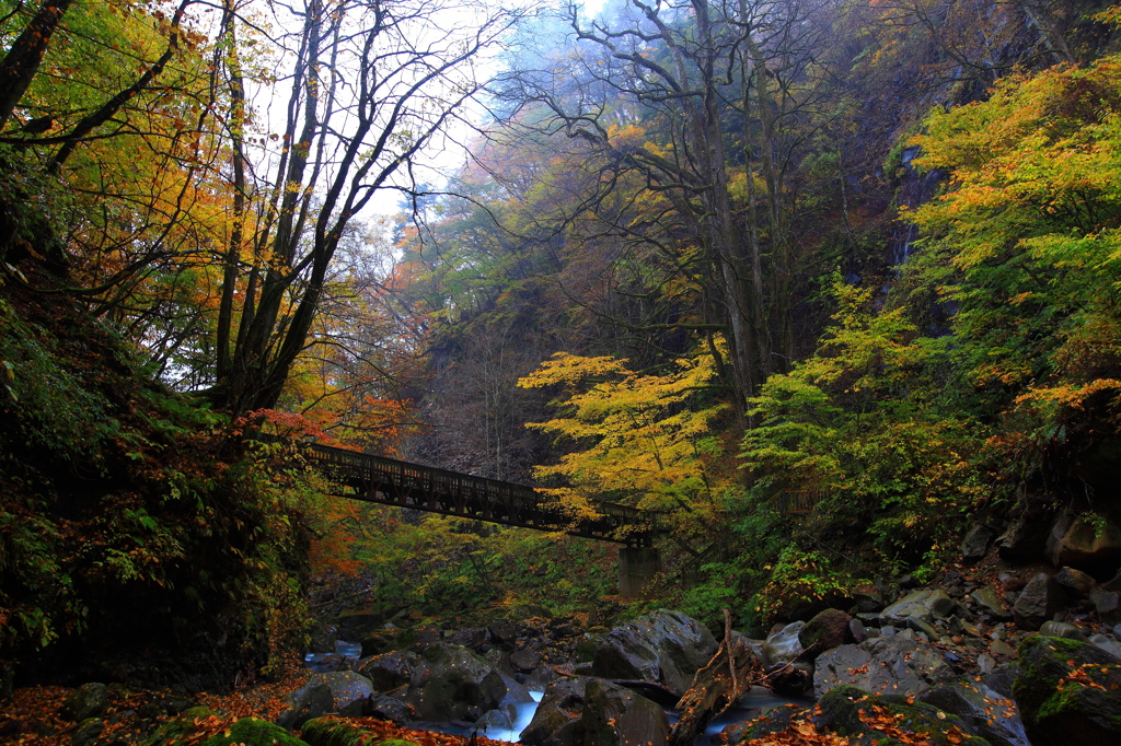 Ponte de outono