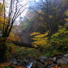 Ponte de outono