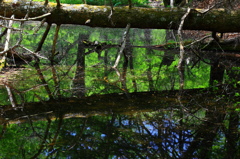 tranqüilidade