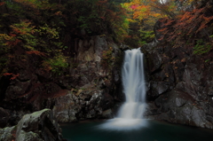 Natureza do Japão