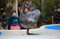 あらよっと！！