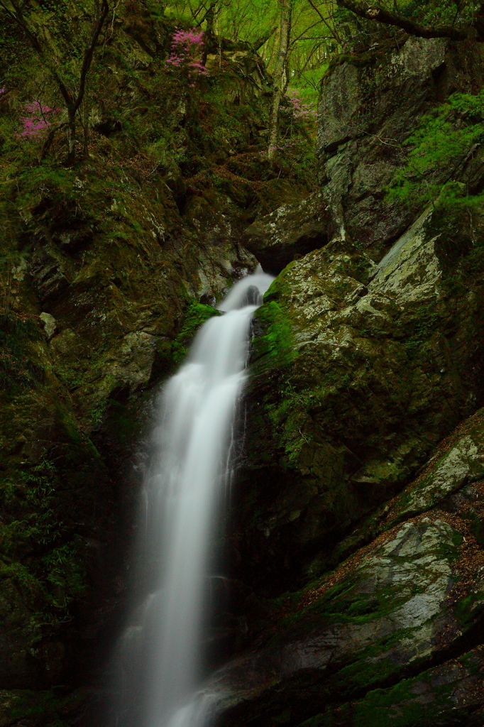 　cachoeira Azalea