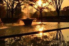 公園から見える夕日