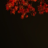 紅暖簾