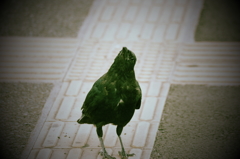 ん？