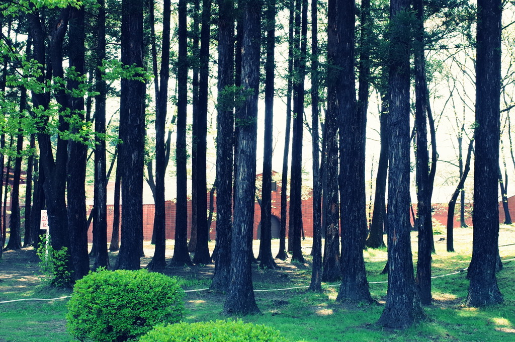 童話への入り口