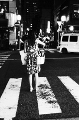 夜光虫