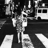 夜光虫