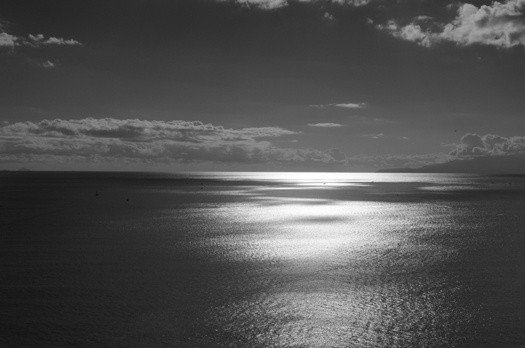 海