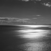 海
