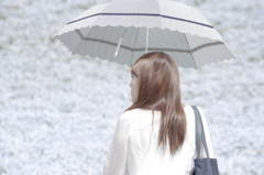 花想