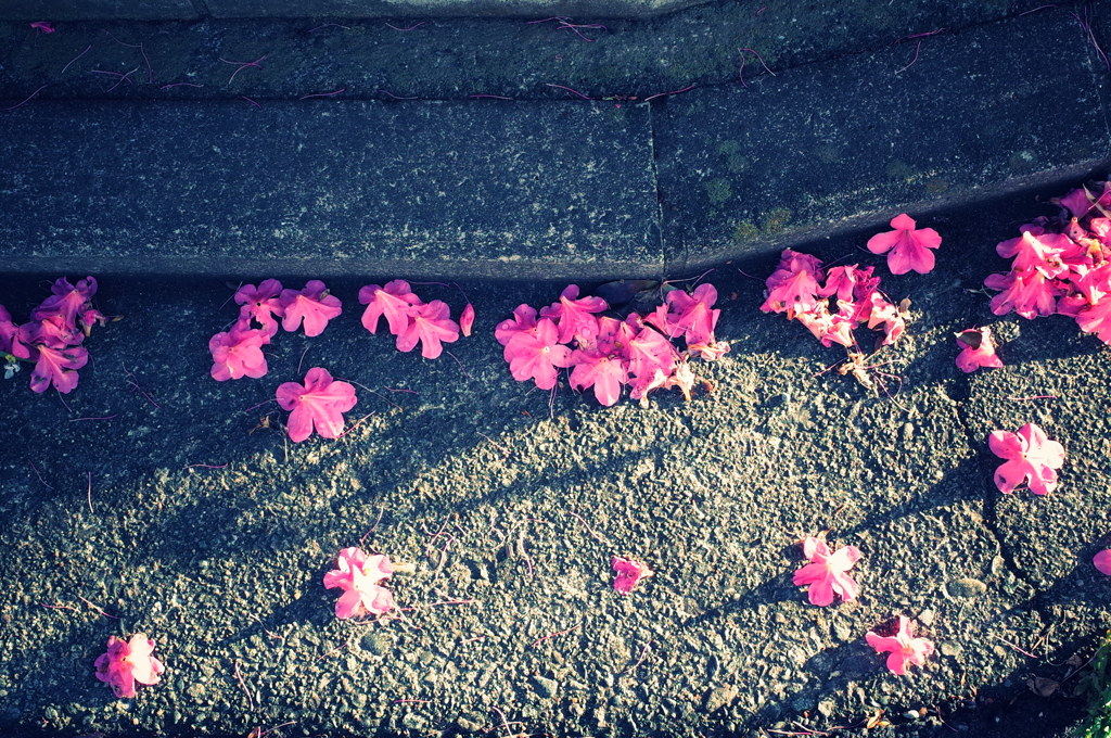 花道