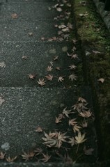 寂