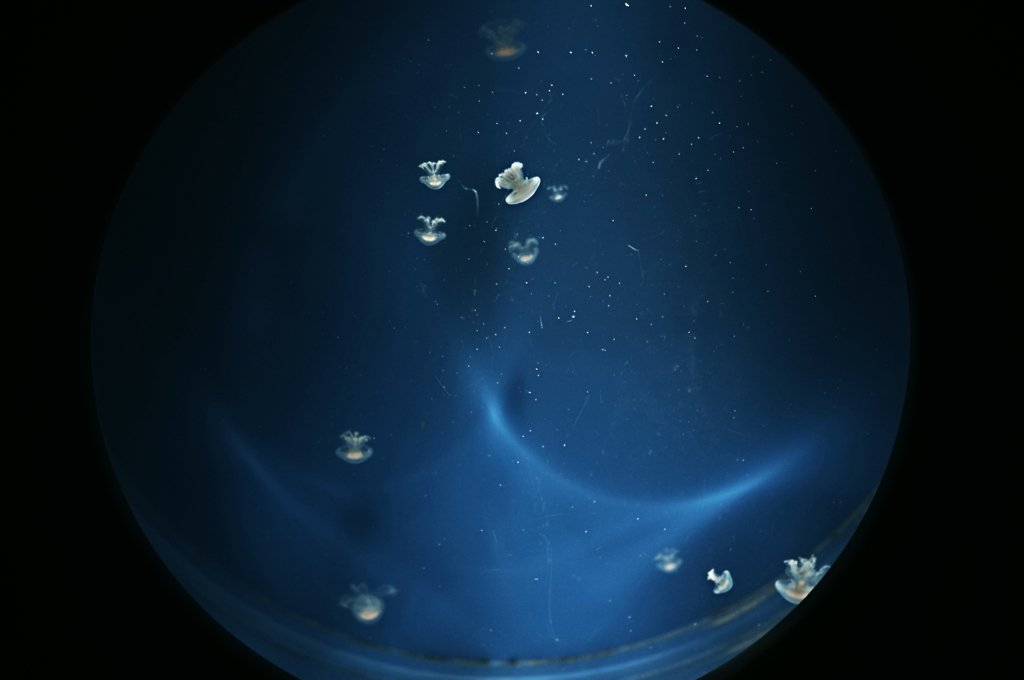 小宇宙