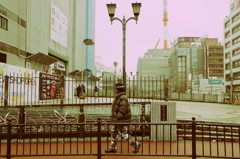 ワイルドだろ～