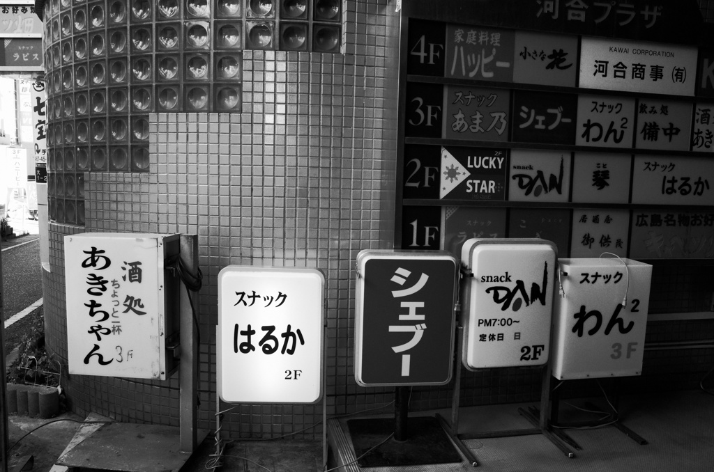 パラダイス