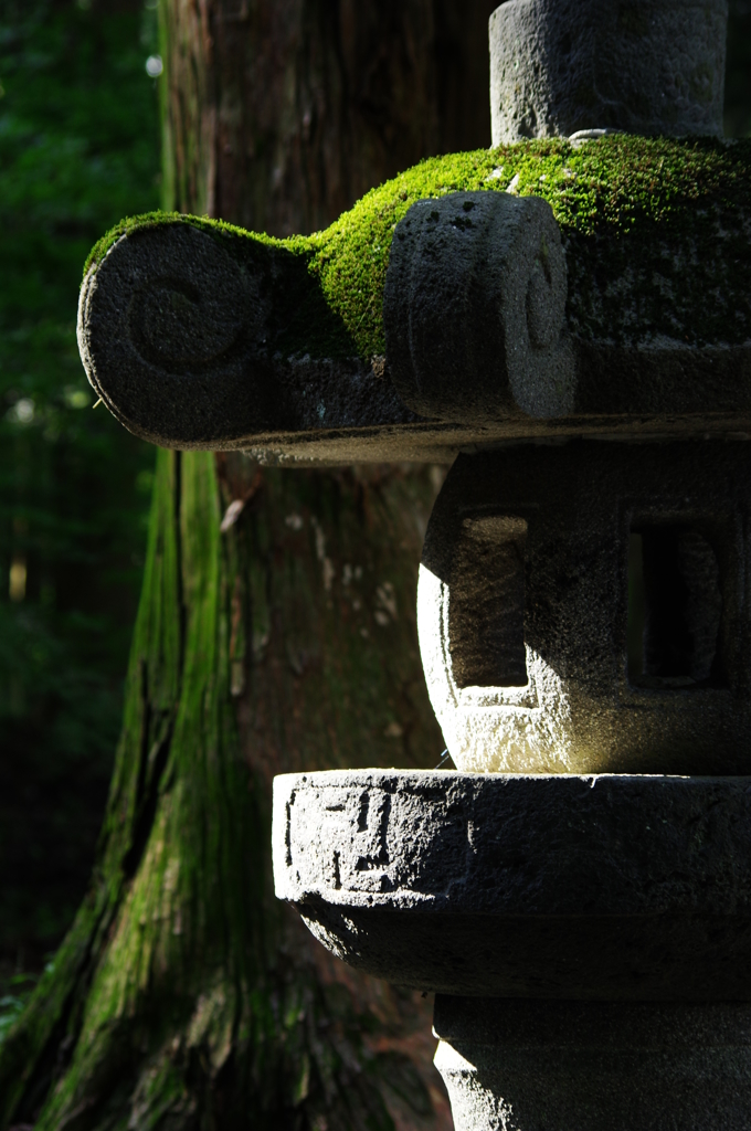 ＪＡＰＡＮ　ＭＡＤＥ