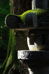 ＪＡＰＡＮ　ＭＡＤＥ