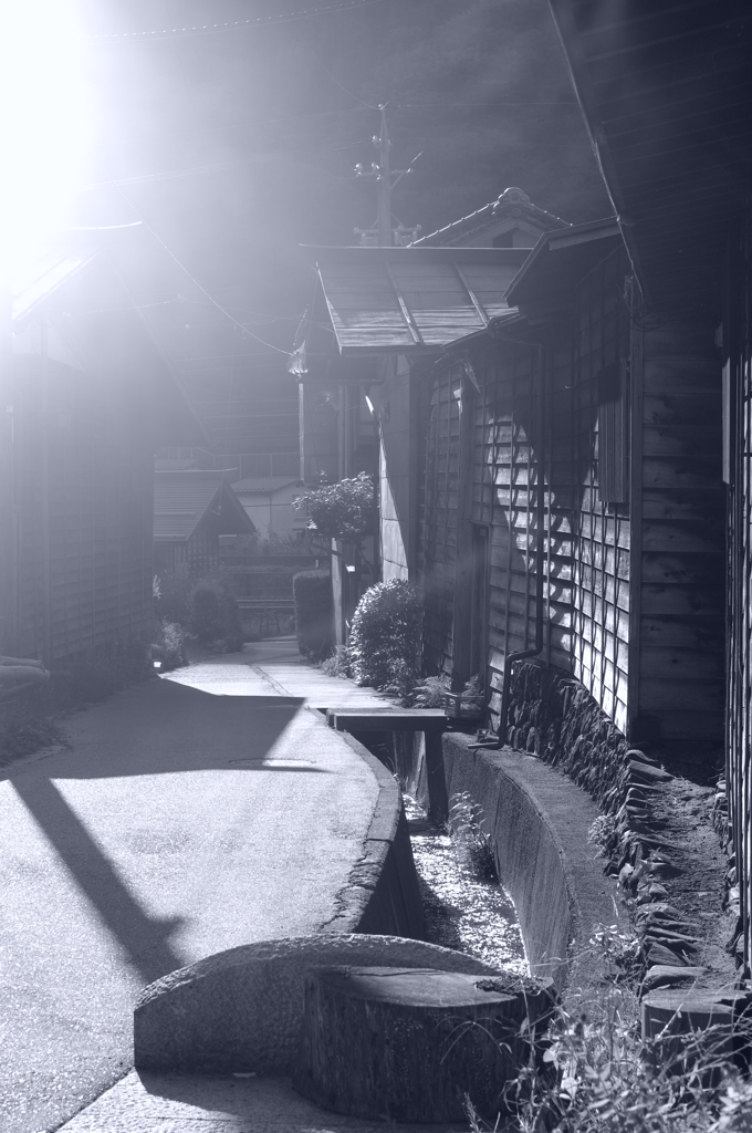 想いでの道