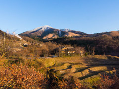 初冬の里山