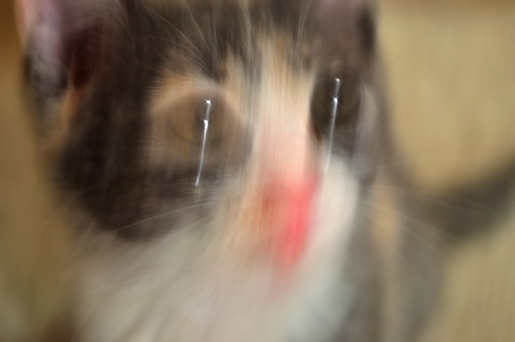 獲物はそこか～～！