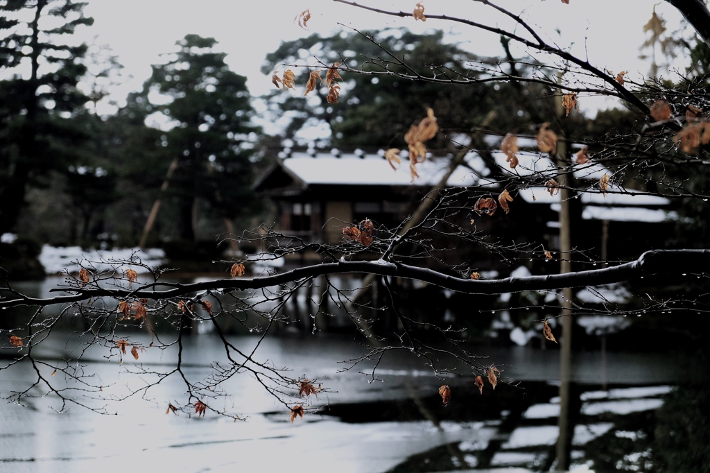 北陸への旅⑬