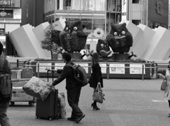 ＴＯＫＩＯ　お散歩（庫出し）