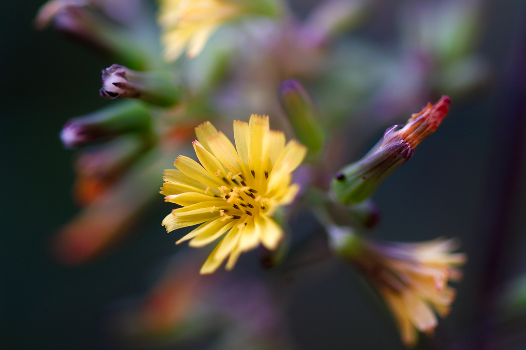 風の強い日に②