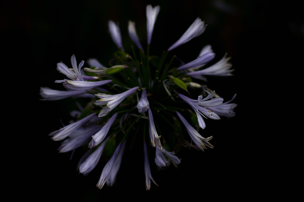 道草撮り①　長女