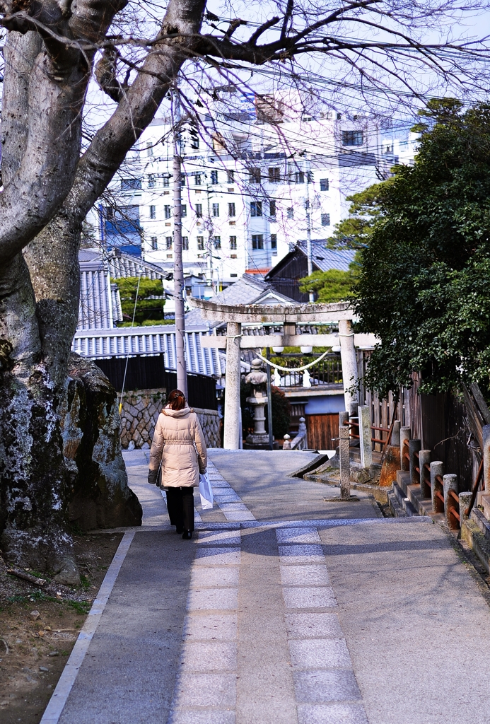 ＮＯＫＴＯＮの旅（倉敷編）⑥