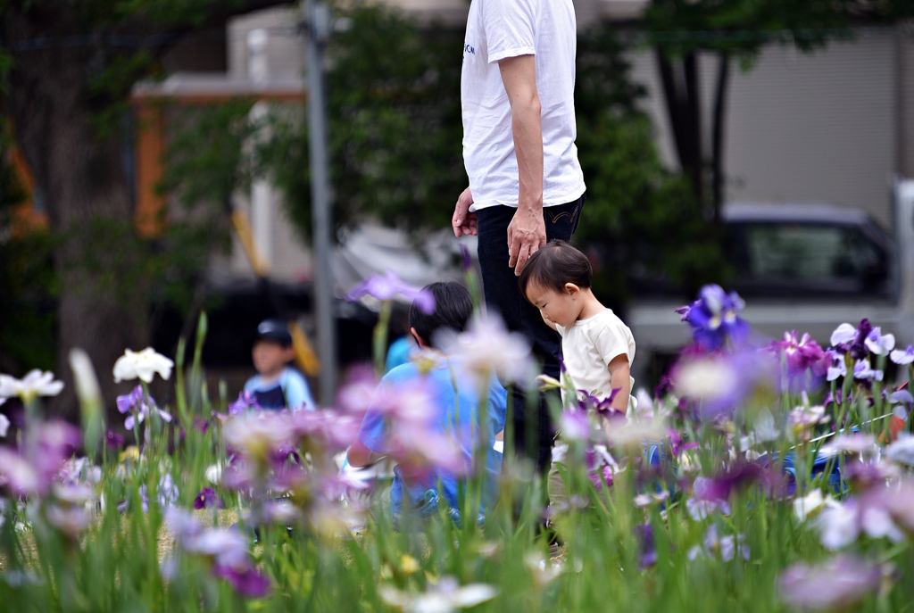 花の想いでと共に