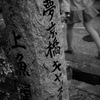 夢は見れたかい？