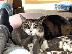 御無沙汰しています