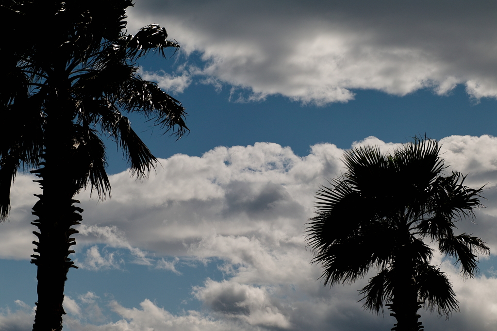 空