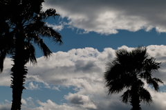 空