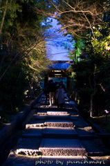 京都　東山花灯路