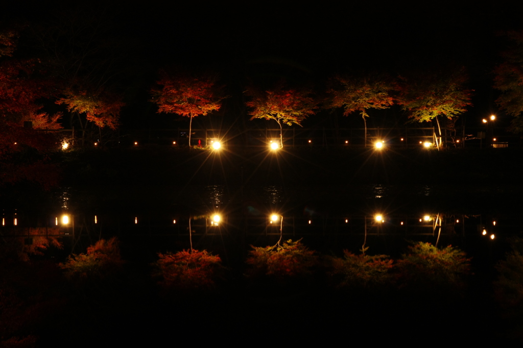 連なると光と・・・