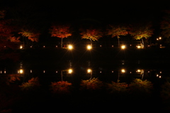 連なると光と・・・