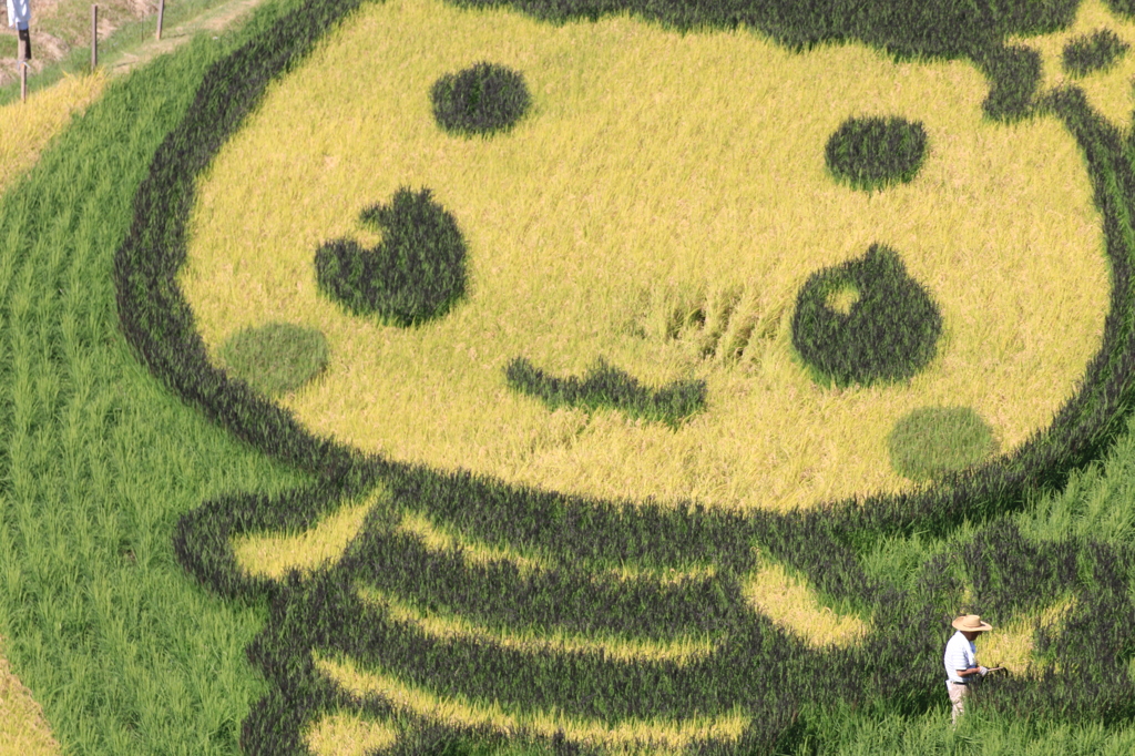 エーナの手の中で