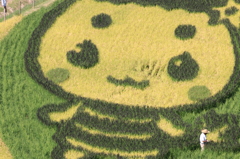 エーナの手の中で