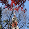 年末紅葉東京タワー