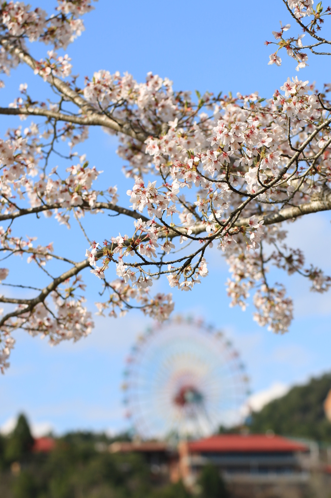 それだけでうれしい