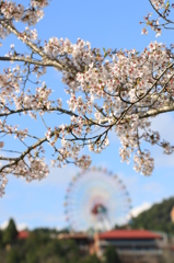それだけでうれしい