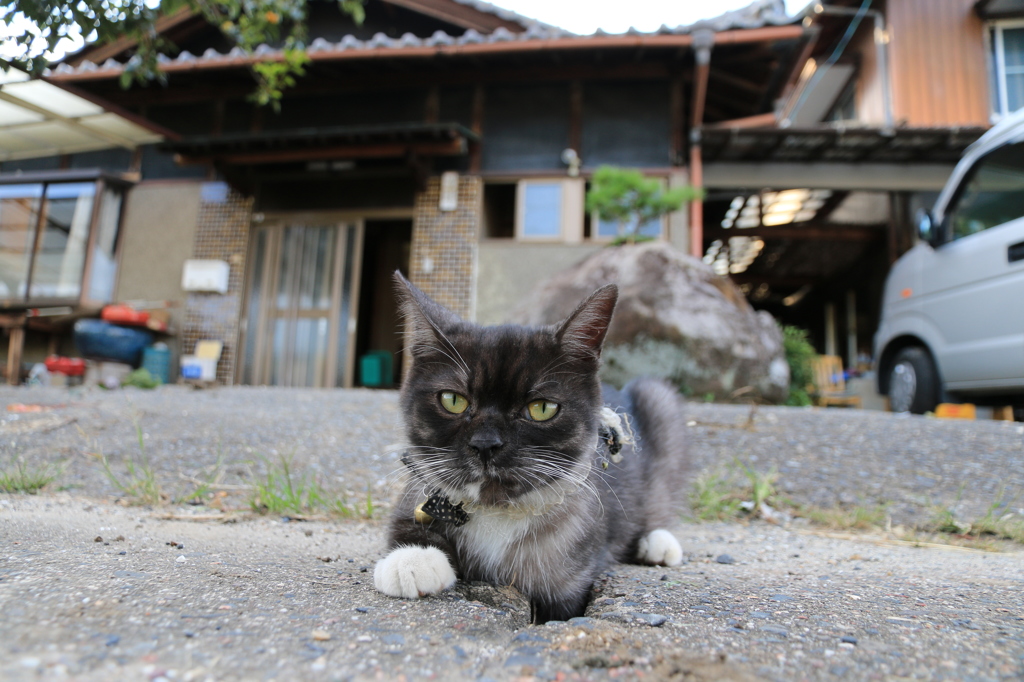 穴の中はなんだろな？