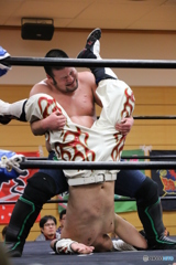 抱え込み式逆エビ