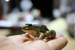 殿そろそろ